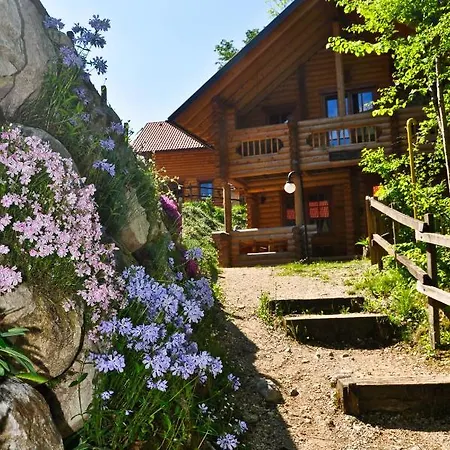 Apartament Kamp Koren