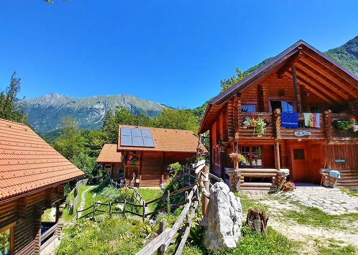 Kamp Koren * コバリード