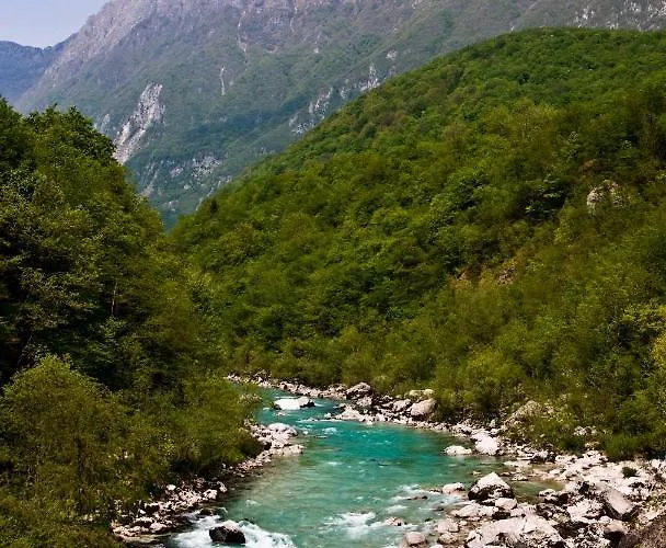 Kamp Koren * コバリード