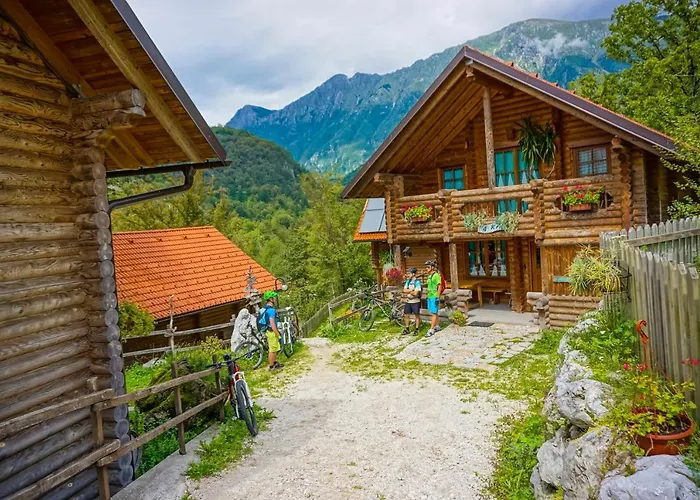 Kamp Koren * コバリード