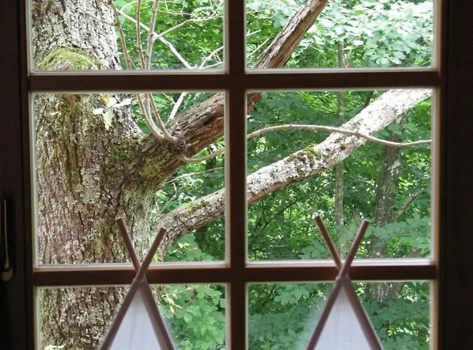 Kamp Koren * コバリード